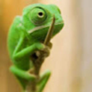 Meet your Posher, Emersen